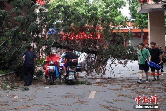 台风玛莉亚最新消息，应对动态与影响分析全解析