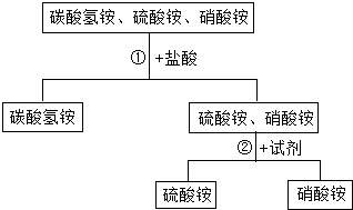 化肥碳酸氢铵最新价格探讨与分析